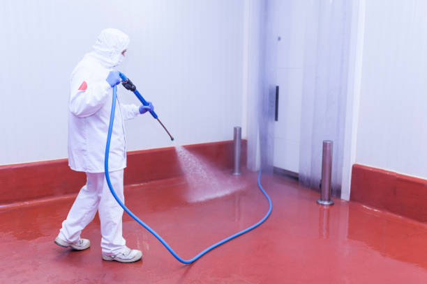 Reliable Bull Run Mountain Estates, VA Pressure Washing Services Solutions