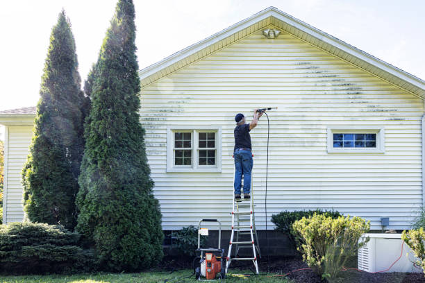 Best Soft Washing for Delicate Surfaces in Bull Run Mountain Estates, VA